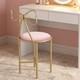 Armless Vanity Chair For Makeup Room Velvet Vanity Stool With Back Living Room Pub