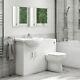 Basin Vanity Combination Unit With Back To Wall Toilet 550mm Classic Range