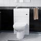 Eslo 500mm Toilette Avec Lavabo Et Wc Encastré Contre Le Mur, Couleur Blanche.