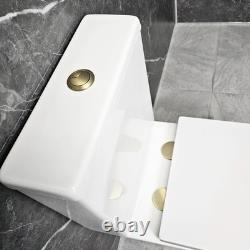 Meuble de salle de bain noir avec poignées en laiton, toilette à dos fermé de 550 mm